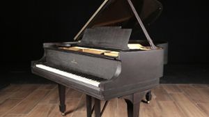 Steinway pianos for sale: 1925 Steinway Grand M - $43,500