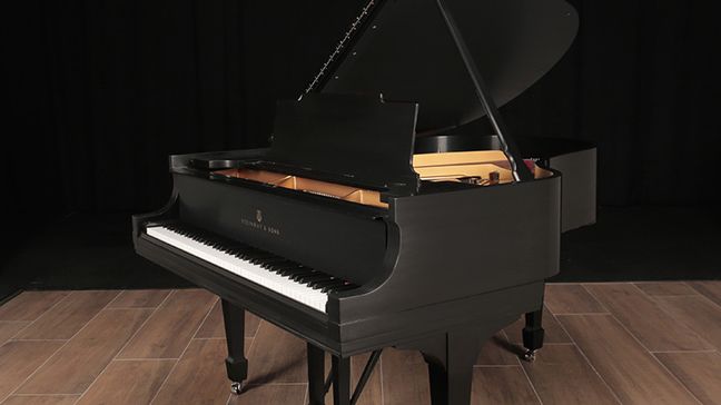 <span>1917</span> Steinway M