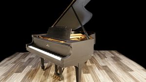 Steinway pianos for sale: 1928 Steinway Grand M - $65,800