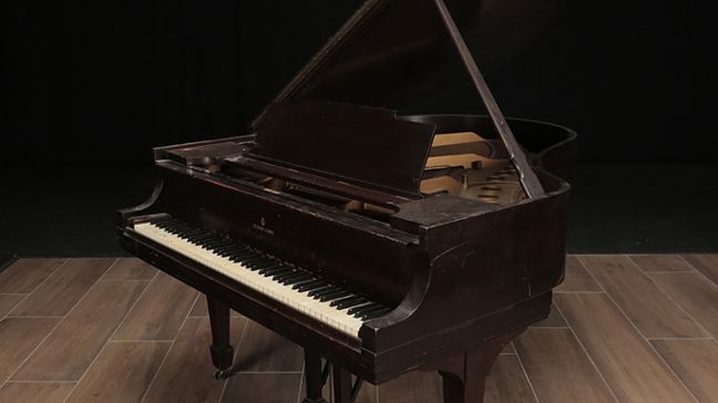 <span>1929</span> Steinway M