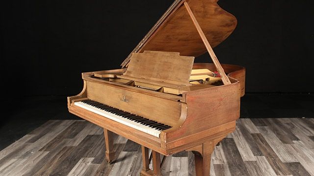 <span>1929</span> Steinway M