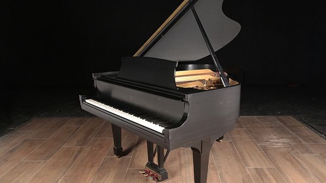 <span>1976</span> Steinway M