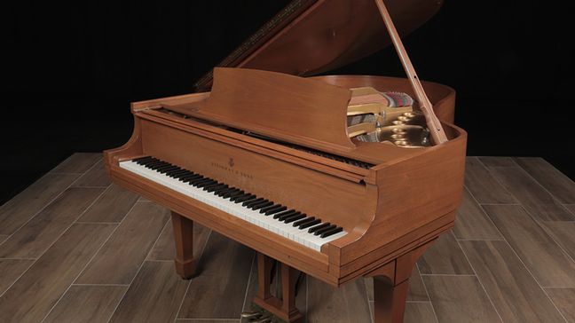 <span>1978</span> Steinway M