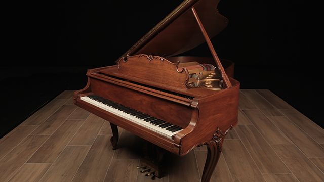 <span>1981</span> Steinway M