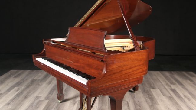 Steinway M