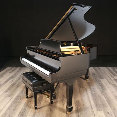 Steinway pianos for sale: 2004 Steinway Grand M w/ Player - $47,500