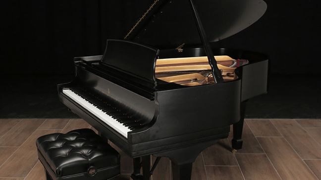 <span>2009</span> Steinway M
