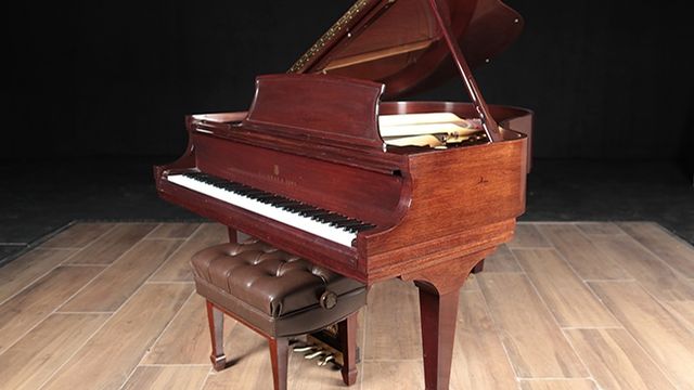 <span>2009</span> Steinway M