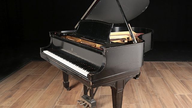 <span>1915</span> Steinway O