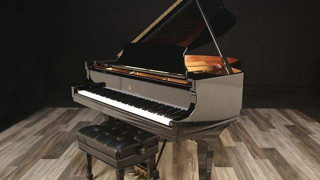 <span>2018</span> Steinway M