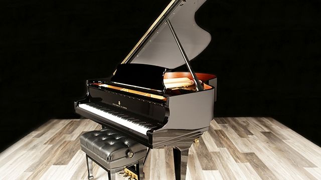 <span>2020</span> Steinway M