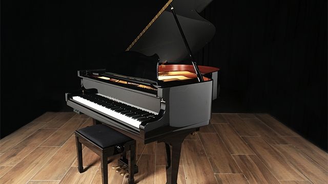 <span>2004</span> Vogel V 177