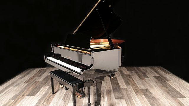 <span>1994</span> Yamaha G2