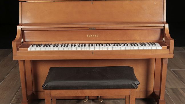 <span>1969</span> Yamaha P22