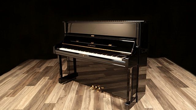 <span>2009</span> Yamaha U1