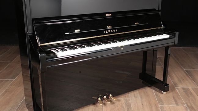 <span>2013</span> Yamaha U1