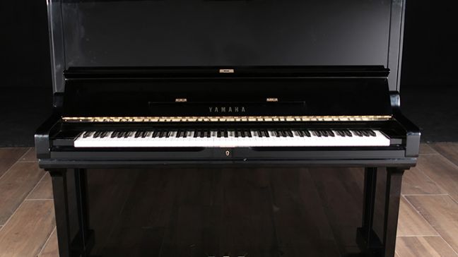<span>1981</span> Yamaha U3