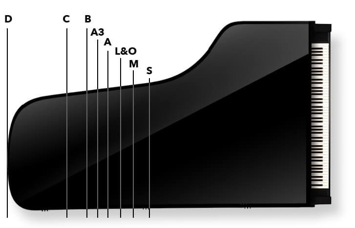 Steinway Piano Models Chart