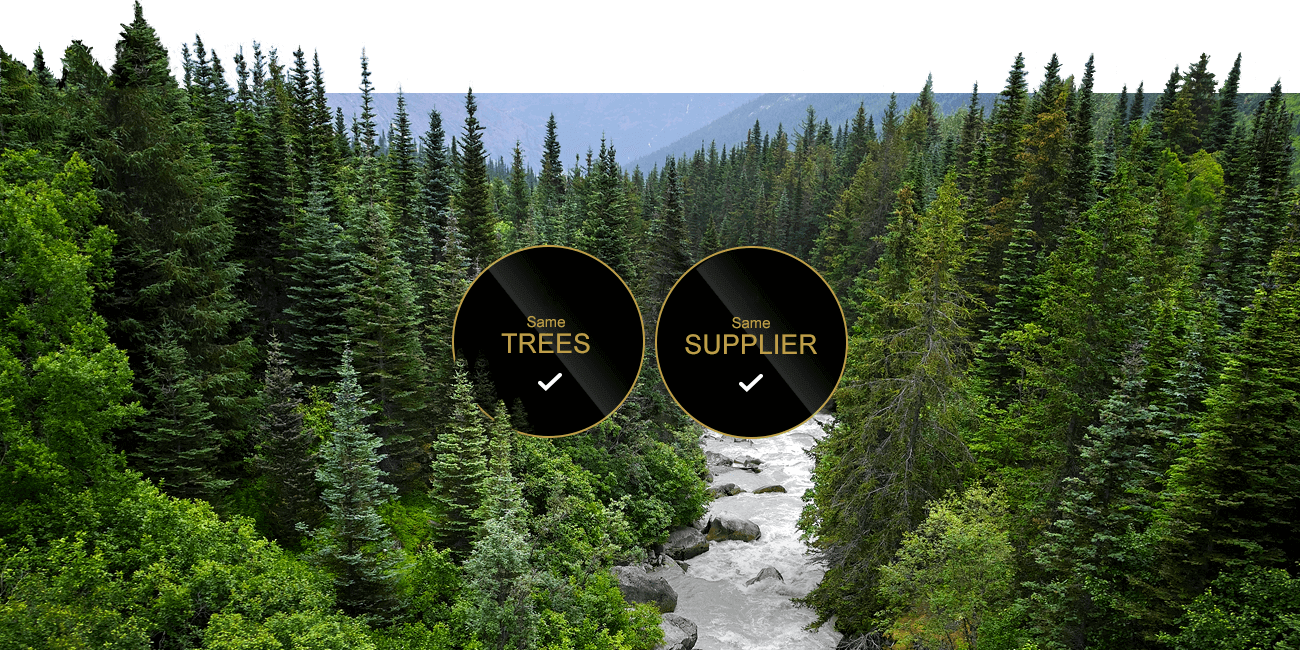 Alaskan Sitka Spruce