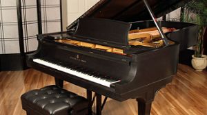 Steinway pianos for sale: 1919 Steinway D - $113,100