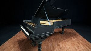 Steinway pianos for sale: 1893 Steinway Victorian D - $299,300